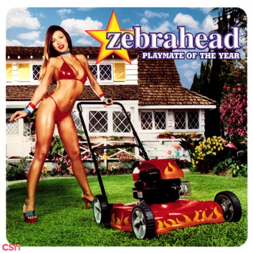 Zebrahead