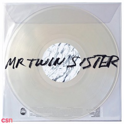 Mr Twin Sister