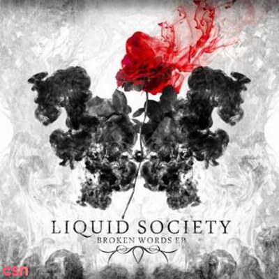 Liquid Society