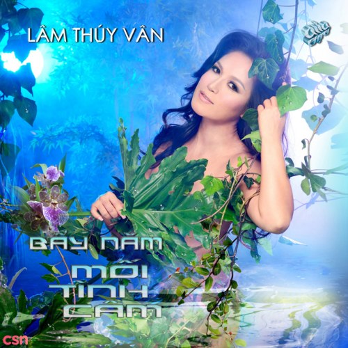 Bảy Năm Mối Tình Câm