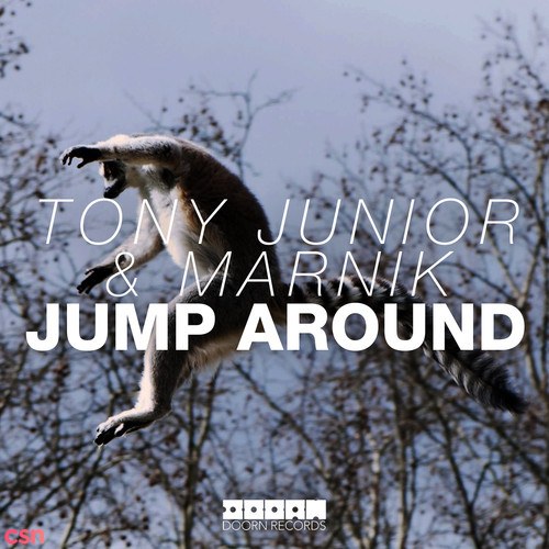 Jump Around (Single)