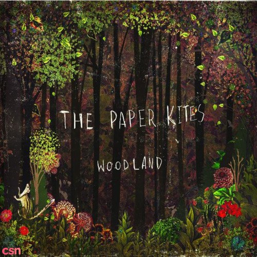 The Paper Kites