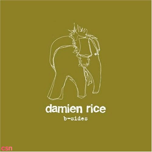 Damien Rice: B - Sides