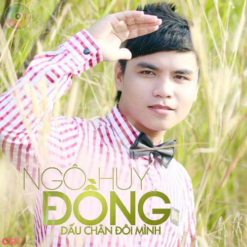 Ngô Huy Đồng