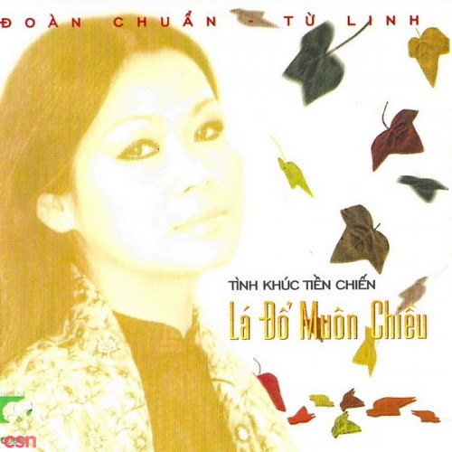 Lá Đổ Muôn Chiều