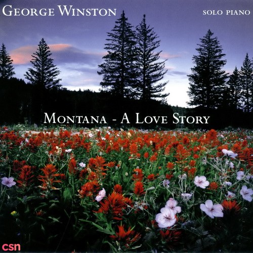 Montana - A Love Story