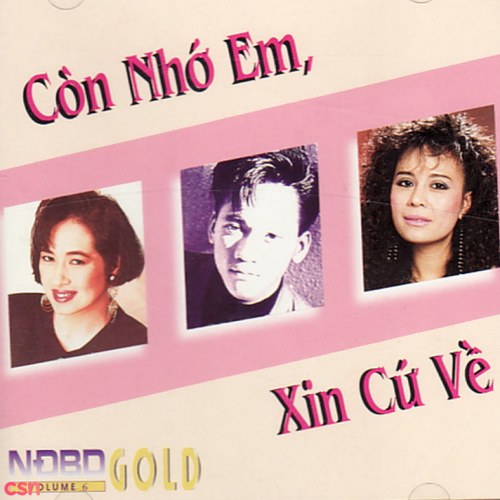 Còn Nhớ Em Xin Cứ Về