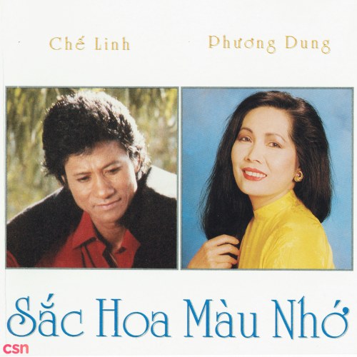 Sắc Hoa Màu Nhớ