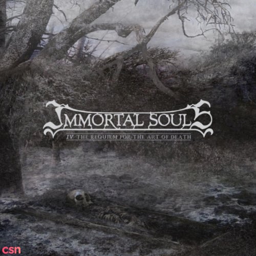 Immortal Souls