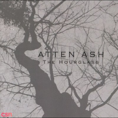 Atten Ash