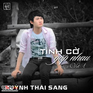 Tình Cờ Gặp Nhau (Vol.1)