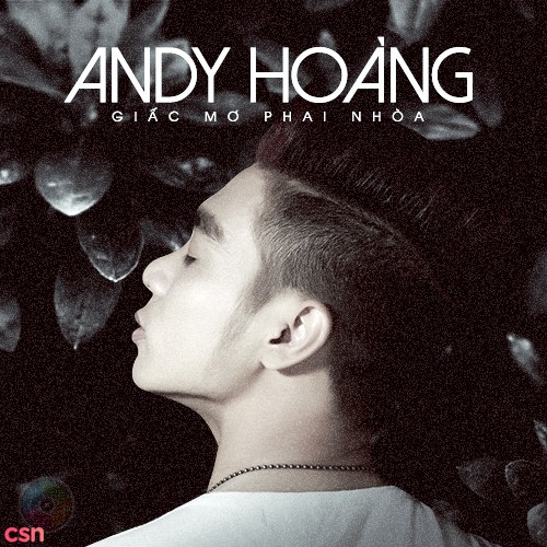 Andy Hoàng