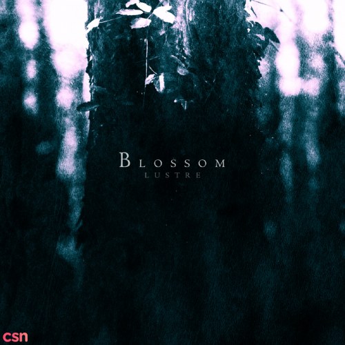 Blossom