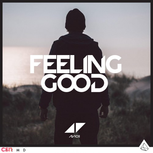 Feeling Good (Single)