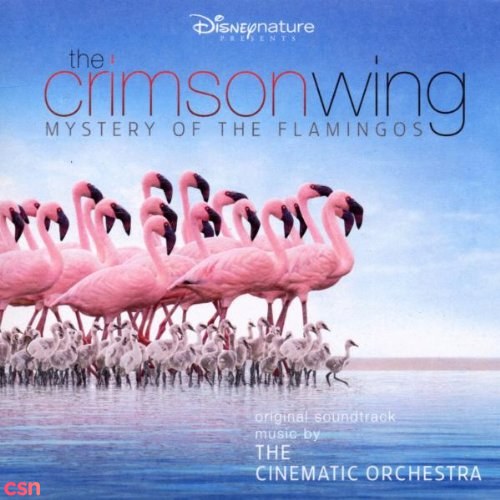 The Crimson Wing - Mystery Of The Flamingos