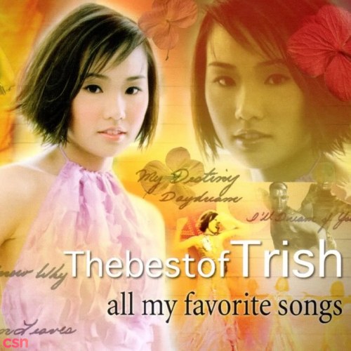 Trish Thuỳ Trang