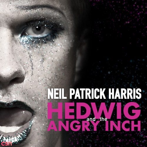 Hedwig And The Angry Inch: Original Broadway Cast Recording