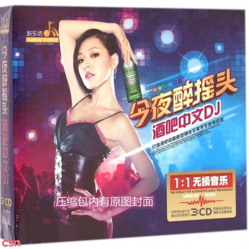 Hôm Nay Có Rượu Hôm Nay Say DJ (今夜醉摇头酒吧中文 DJ)