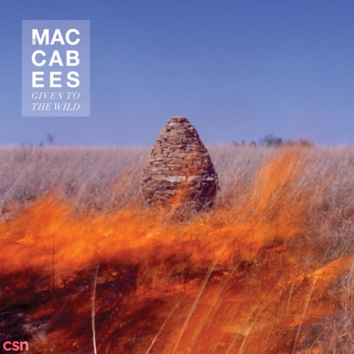 The Maccabees