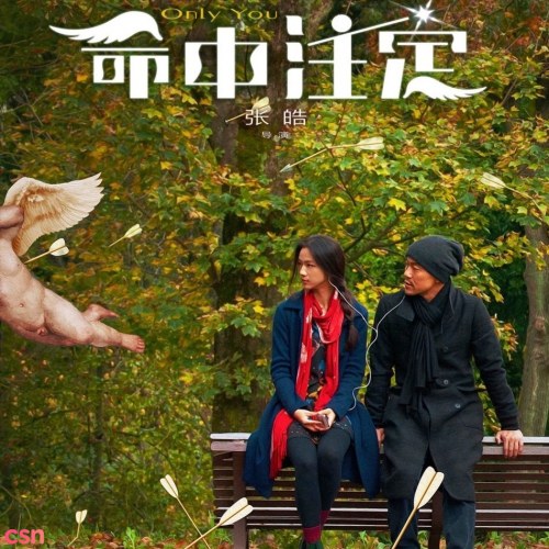 Định Mệnh OST (命中注定)