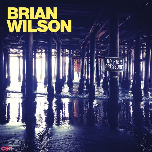 Brian Wilson