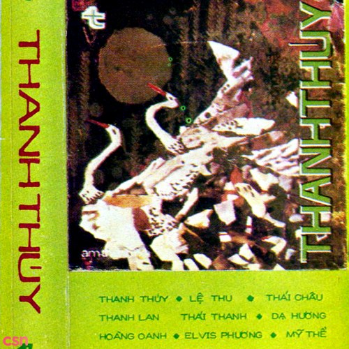 Thanh Thuý