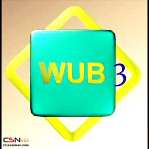 W.U.B 113 (Single)