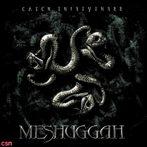 Meshuggah