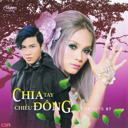 Chia Tay Chiều Đông - Top Hits 67