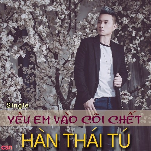 Hàn Thái Tú