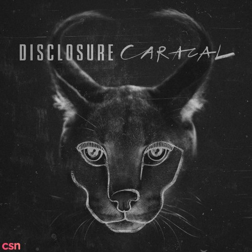 Caracal (Deluxe Edition)