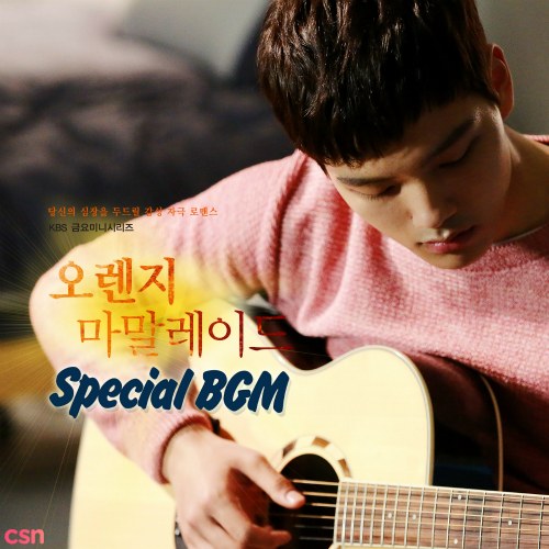 Orange Marmalade OST - Special BGM