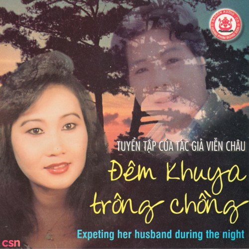 Vọng Cổ - Đêm Khuya Trông Chồng