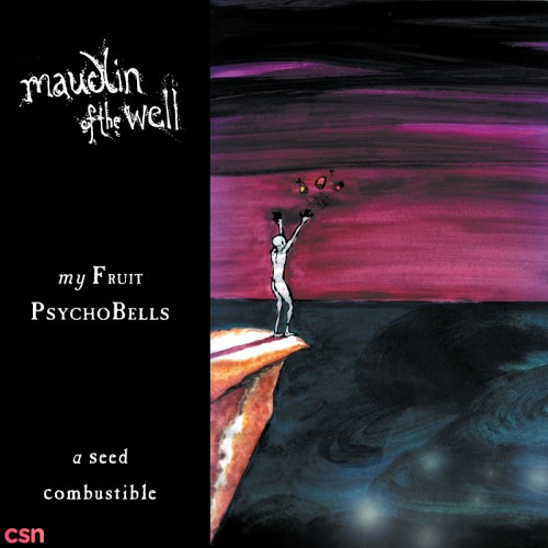 Maudlin Of The Well