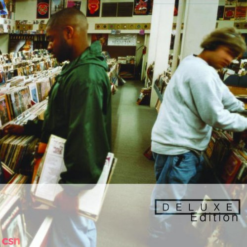 Endtroducing… (Deluxe Edition)