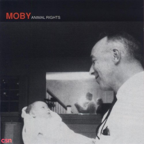 Moby