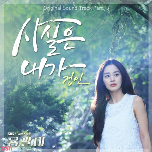 Yong Pal OST (Part. 3)