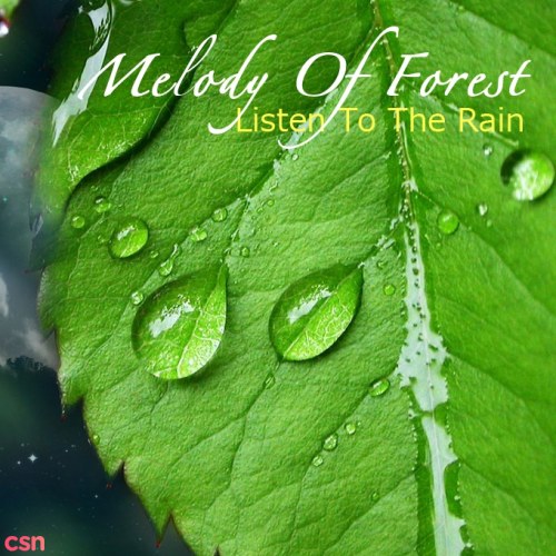 Melody Of Forest: Listen To The Rain