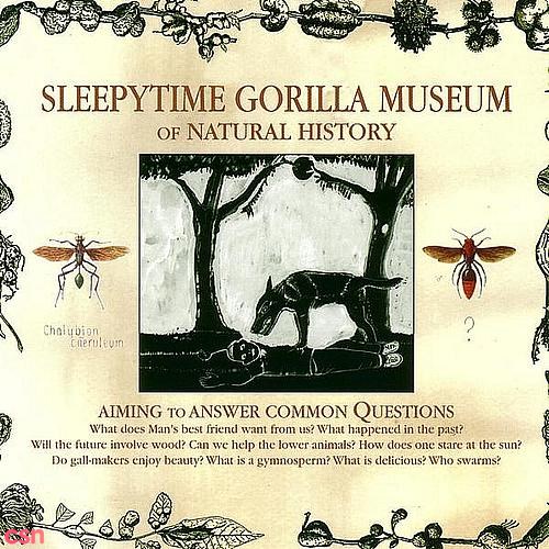 Sleepytime Gorilla Museum