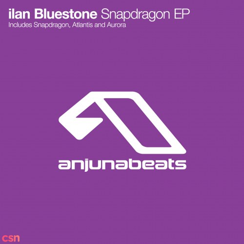 ilan Bluestone