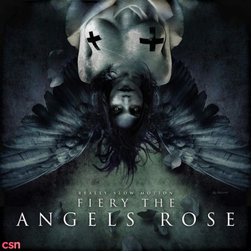 Fiery The Angels Rose