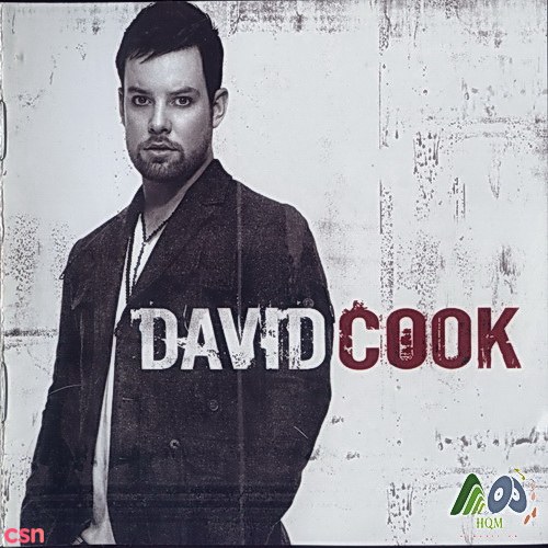 David Cook