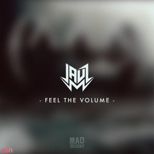 Feel The Volume (Single)