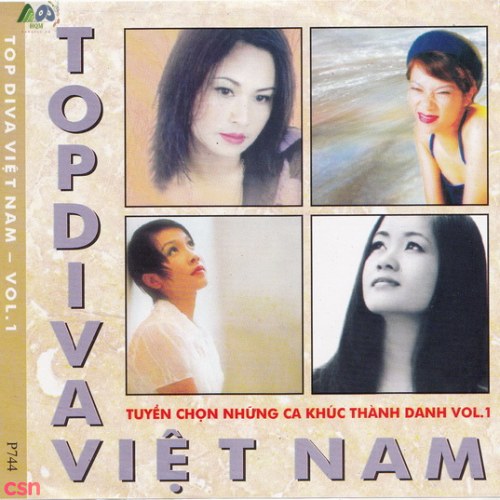 Top Diva Việt: Tuyển Chọn Những Ca Khúc Thành Danh