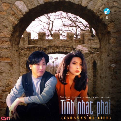 Tình Nhạt Phai