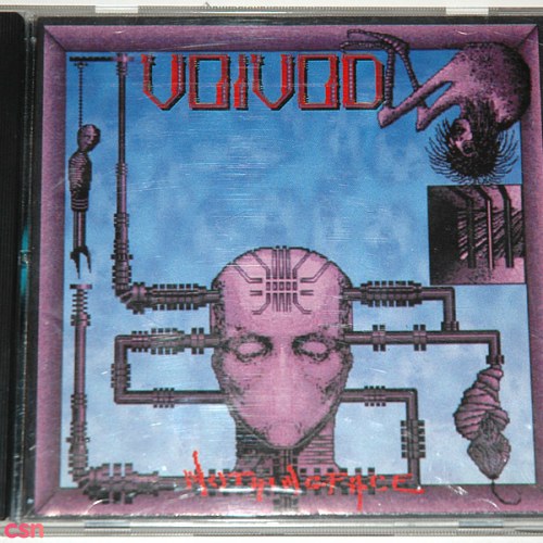 Voivod