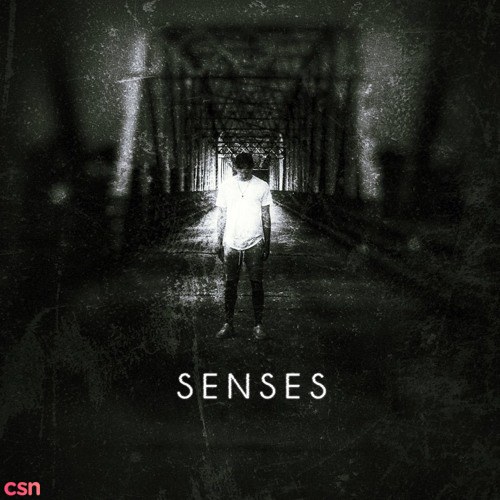 Senses (Original Mix)