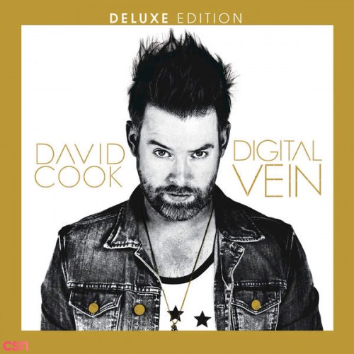 David Cook