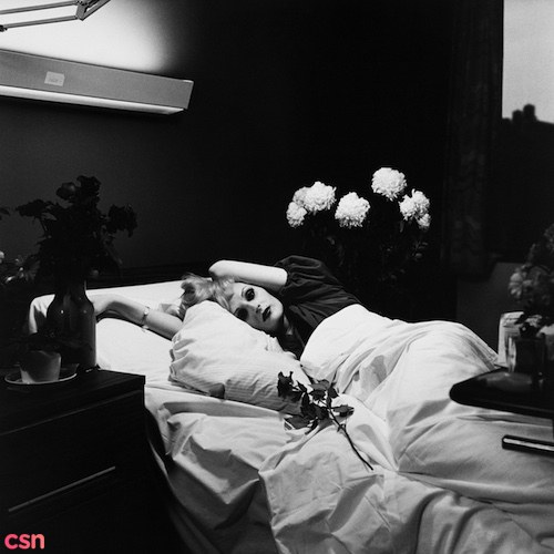 Antony And The Johnsons