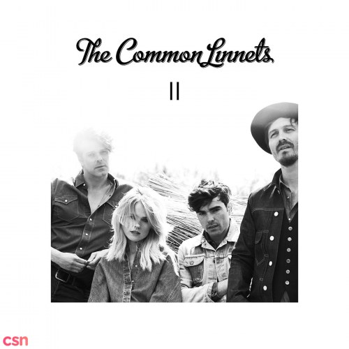 The Common Linnets